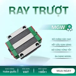 Ray dẫn hướng MGW12-100mm